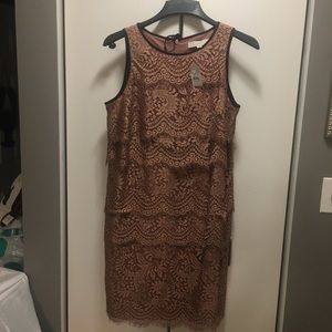 SALE LOFT Lace Dress